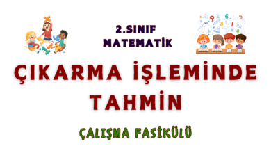 2. SINIF CIKARMA ISLEMINDE TAHMIN