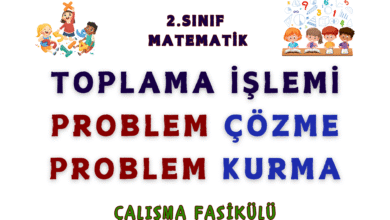 2. SINIF TOPLAMA ISLEMI PROBLEMLERI