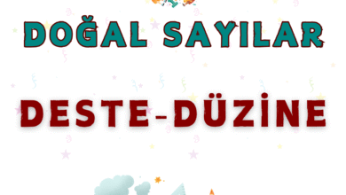 DESTE DUZINE