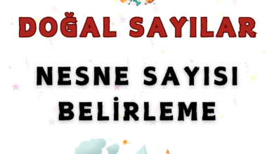 NESNE SAYISI BELIRLEME