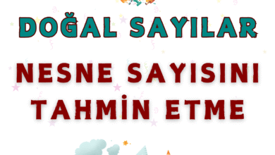 NESNE SAYISINI TAHMIN ETME
