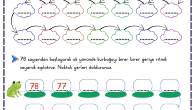 RITMIK SAYMALAR