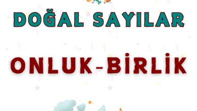 SAYILARI ONLUK ve BIRLIKLERE AYIRMA
