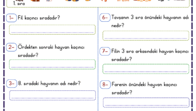 SIRA BILDIREN SAYILAR