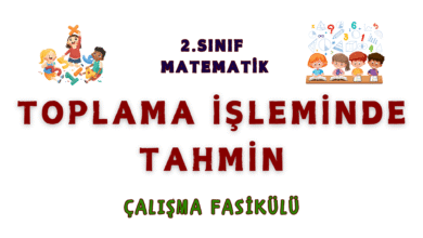 TOPLAMA ISLEMINDE TAHMIN